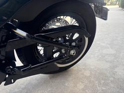 2021 HARLEY-DAVIDSON FLSL SOFTAIL SLIM (107)