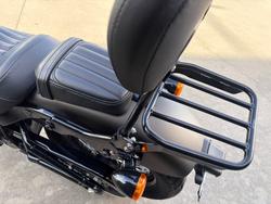2021 HARLEY-DAVIDSON FLSL SOFTAIL SLIM (107)