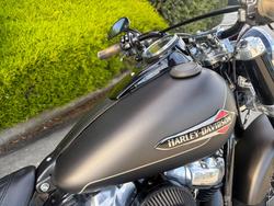 2021 HARLEY-DAVIDSON FLSL SOFTAIL SLIM (107)