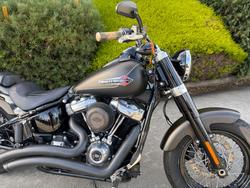 2021 HARLEY-DAVIDSON FLSL SOFTAIL SLIM (107)