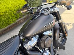 2021 HARLEY-DAVIDSON FLSL SOFTAIL SLIM (107)