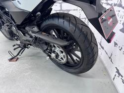 2024 Harley-Davidson X 350 X White