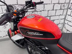 2024 Harley-Davidson X 350 X Orange