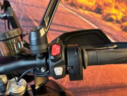 2023 Triumph Tiger 1200 Rally Explorer Tiger Black