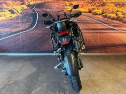 2023 Triumph Tiger 1200 Rally Explorer Tiger Black