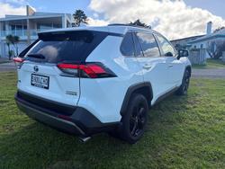 2020 Toyota RAV4 Cruiser