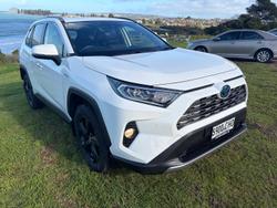 2020 Toyota RAV4 Cruiser