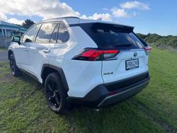 2020 Toyota RAV4 Cruiser