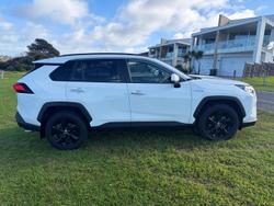 2020 Toyota RAV4 Cruiser