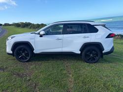 2020 Toyota RAV4 Cruiser