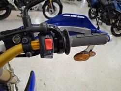 2019 YAMAHA WR250R Blue