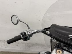 2019 Indian SPRINGFIELD MetallicJADEGreen/BLACK