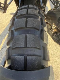 2025 BMW R 1300 GS Adventure Trophy X