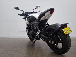2022 Triumph TRIDENT 660 White