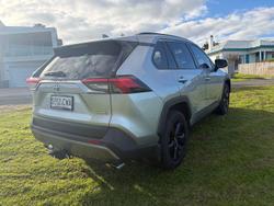 2019 Toyota RAV4 Cruiser
