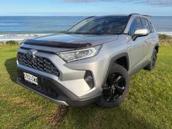2019 Toyota RAV4 Cruiser