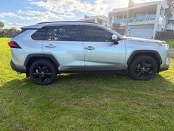 2019 Toyota RAV4 Cruiser