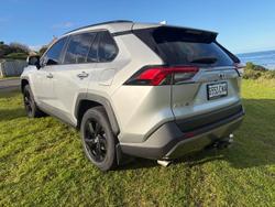 2019 Toyota RAV4 Cruiser