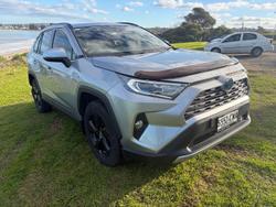 2019 Toyota RAV4 Cruiser