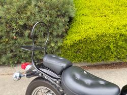 2006 Yamaha XV250 (VIRAGO VX250S, VX250R)