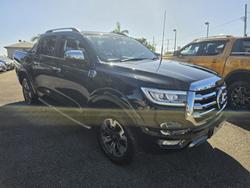 2022 GWM Ute Cannon-X