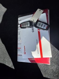 2022 GWM Ute Cannon-X
