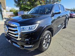 2022 GWM Ute Cannon-X