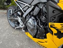 2024 Suzuki GSX-8R (GSX800FRQ) Yellow