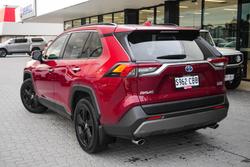 2019 Toyota RAV4 Cruiser