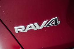 2019 Toyota RAV4 Cruiser