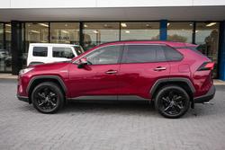 2019 Toyota RAV4 Cruiser