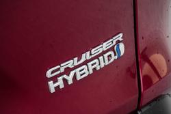 2019 Toyota RAV4 Cruiser