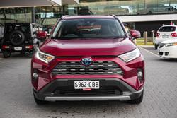 2019 Toyota RAV4 Cruiser
