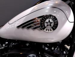 2026 Harley-Davidson Fat Boy 117 (FLFB) Softail White