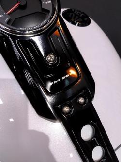 2026 Harley-Davidson Fat Boy 117 (FLFB) Softail White