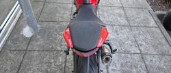 2023 Ducati Monster + 937 Monster Red