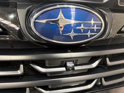 2024 Subaru Forester STI Sport