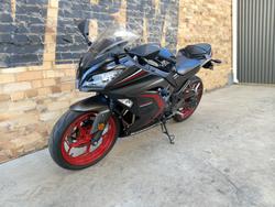 2015 KAWASAKI NINJA 300 (EX300A) ROAD GREY