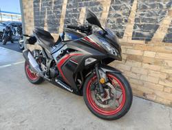 2015 KAWASAKI NINJA 300 (EX300A) ROAD GREY