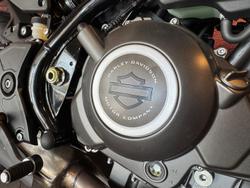 2024 Harley-Davidson X 350 X White