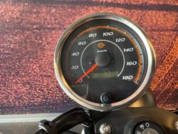 2024 Harley-Davidson X 350 X White