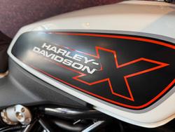 2024 Harley-Davidson X 350 X White