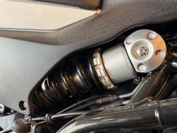 2024 Harley-Davidson X 350 X White