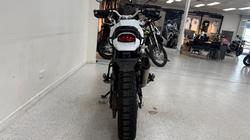 2023 DUCATI DESERTX White