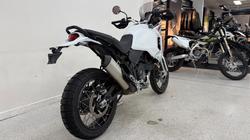 2023 DUCATI DESERTX White