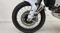 2023 DUCATI DESERTX White