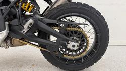 2023 DUCATI DESERTX White