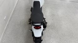 2023 DUCATI DESERTX White