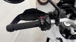 2023 DUCATI DESERTX White