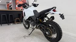 2023 DUCATI DESERTX White